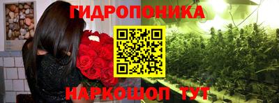 PSILOCYBIN Кимры