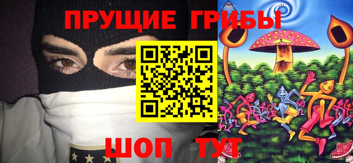 Галлюциногенные грибы мицелий  Галлюциногенные грибы ЛСД  Иваново 