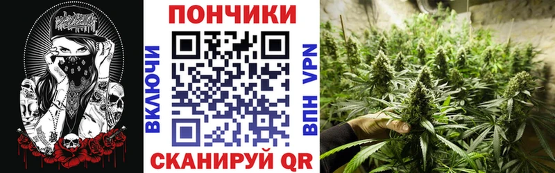 Шишки марихуана семена Иваново